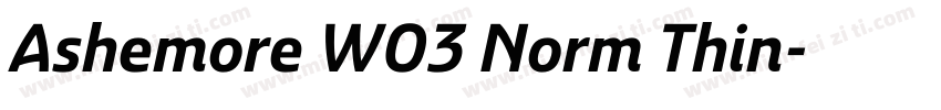 Ashemore W03 Norm Thin字体转换